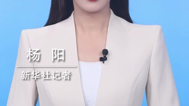 Excel数据可视化的核心价值